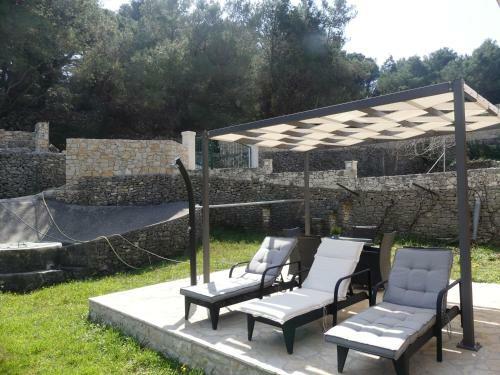 The Fig Garden By Lemo