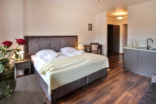 Bed & Breakfast Zeppelin Apartments Simple Acomodation