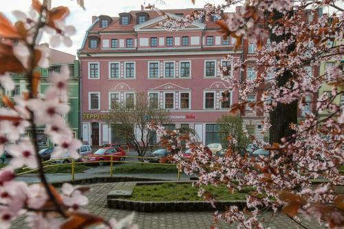 Bed & Breakfast Zeppelin Apartments Simple Acomodation