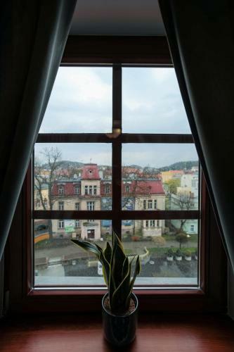Bed & Breakfast Zeppelin Apartments Simple Acomodation