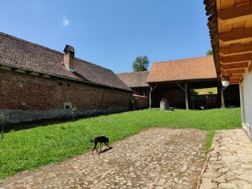 Agroturismo Experience Transylvania 102a
