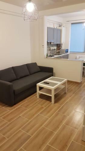 Apartament Adi Navodari