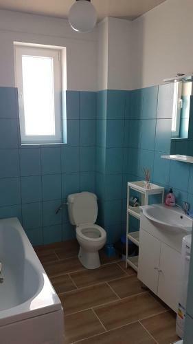Apartament Adi Navodari