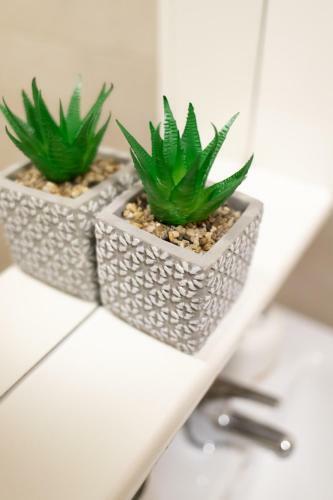 Garden Vibes Apartament