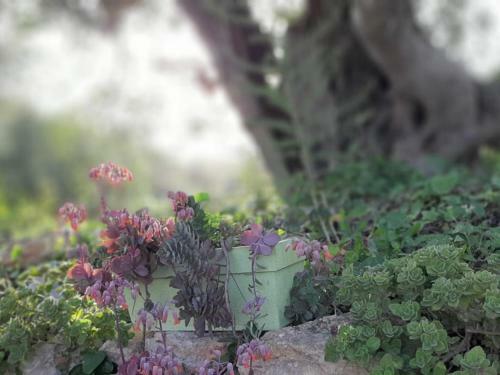 Bed & Breakfast Villa Tranberg