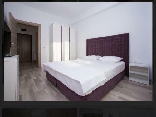 Crazy Apartment Summerland Mamaia