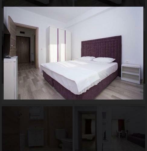 Crazy Apartment Summerland Mamaia