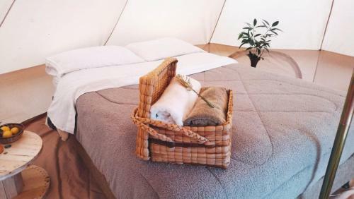 Glamping/camping Eco Montezuma