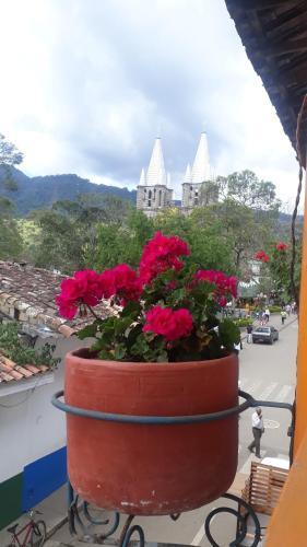 Agroturismo La Terraza #2