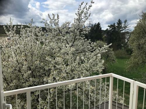 Apartamento Ferienwohnung Leni !