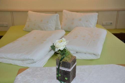 Bed & Breakfast Haus Panorama
