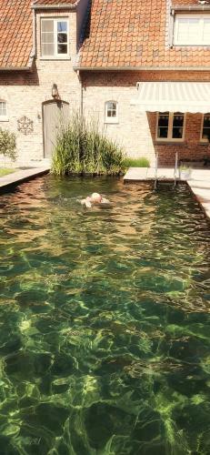 Bed & Breakfast Vakantiewoning Victors Hof Tot 4 Pers