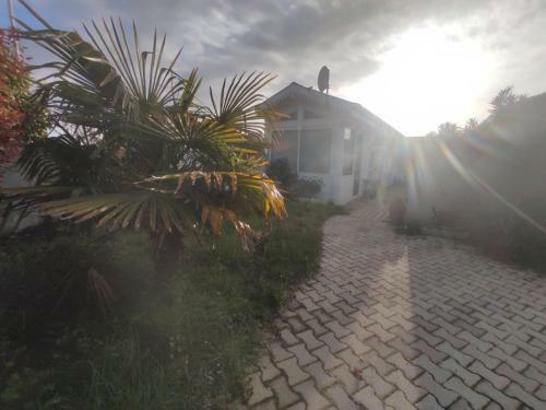 Charmante Maison Avec Jardin � Biscarrosse