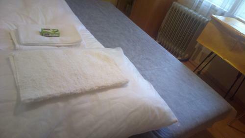 Hostal Prague Retro Challenge And Garden