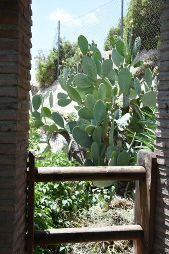 Casa Rural El Gandulillo