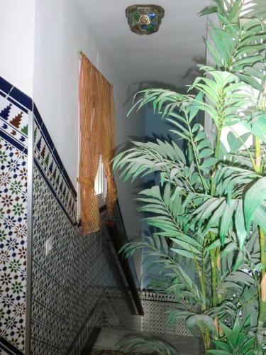 Hostal Santa Ana