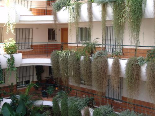 Apartamento Benavista Guadalmina Alta