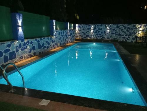 Hotel Lion's Villa