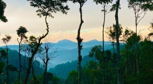 Raindrop Homestay Madikeri