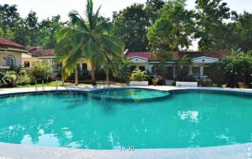 2 Bhk Forest Villa In Anjuna