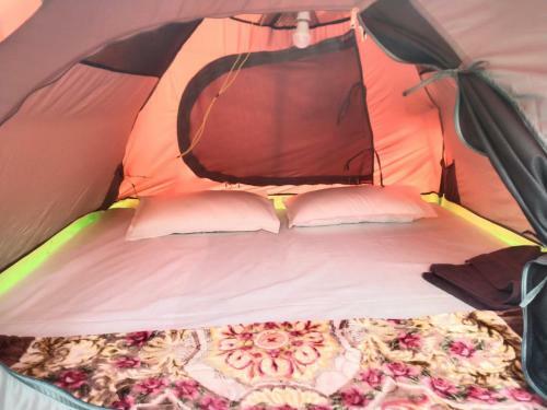 Solang Valley Camp