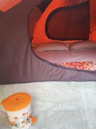 Solang Valley Camp