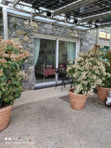 Hostal La Casa Negli Ulivi