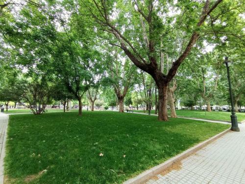 Gran Apartamento Cerca Centro C�rdoba