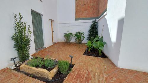 Apartamento Patio Del Lino