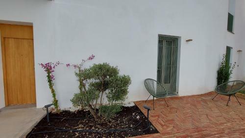 Apartamento Patio Del Lino