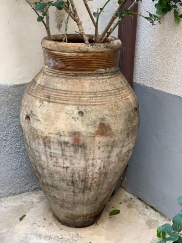 Apartamento Ruggero Garden