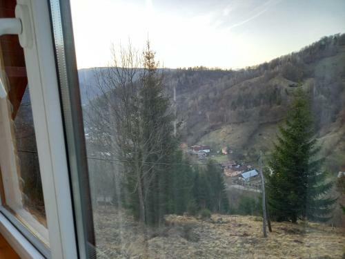 Cabana Belvedere Dragoslavele