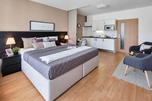 Dvoul??kov� Apartm�n V Klidn� ?�sti T?ebon?