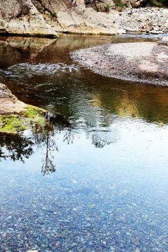 Riverdale-kasauli.swimming Pool,rain Dance,bonfire