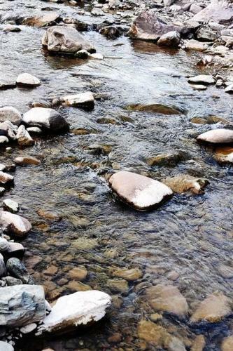 Riverdale-kasauli.swimming Pool,rain Dance,bonfire