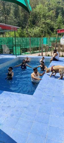 Riverdale-kasauli.swimming Pool,rain Dance,bonfire