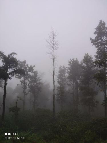 Kalgane Homestay