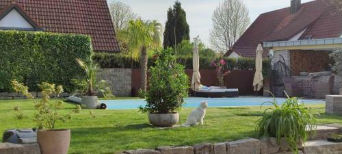 Apartamento Bel Giardino
