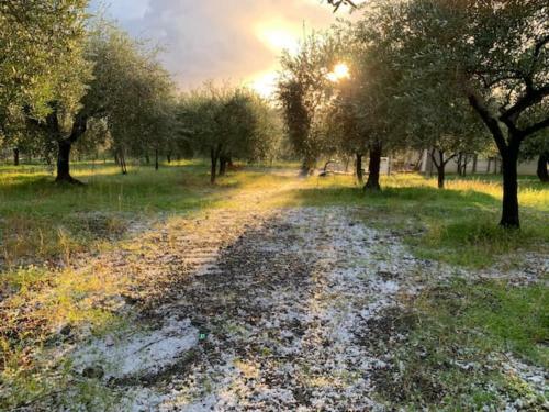Villa Molaro Bed&green - Free Parking & Wifi