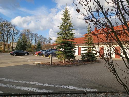 Willa Port Apartament 203