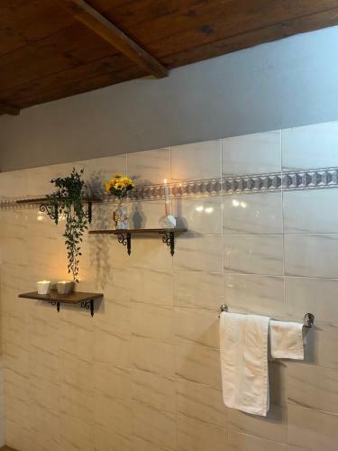 Bed & Breakfast La Bicicletta Rifiorita