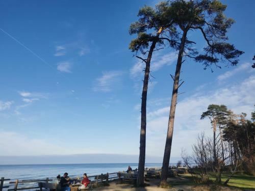 Perle (ferienhaus) An Der Polnischen Ostsee