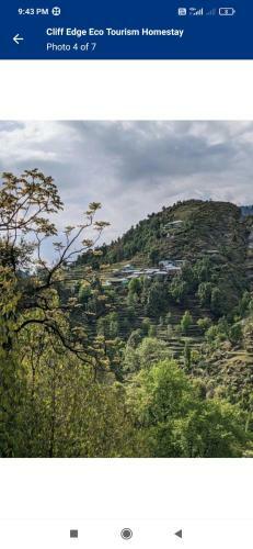 Cliff Edge Eco Home Stay