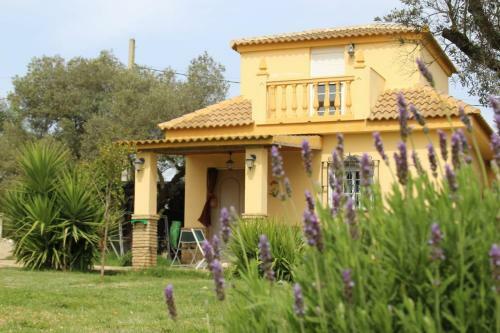 Apartamento Villa El Olivar