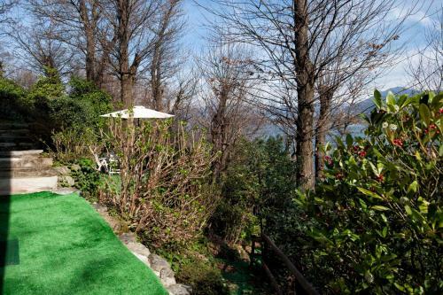 Apartamento Tana Della Volpe