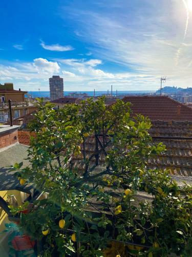 Apartamento Casa Mamma Rosa