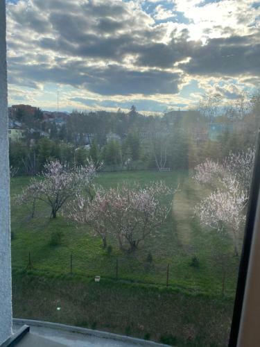 Apartament Rio