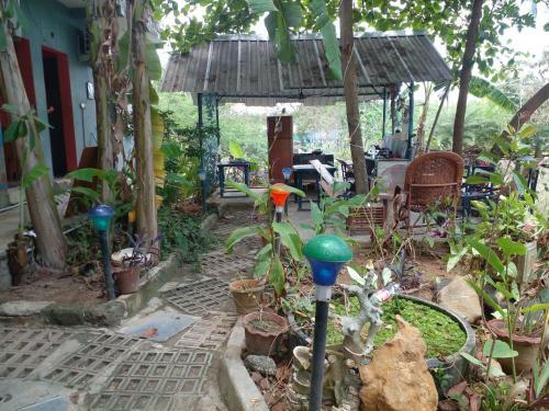 Mother Land Home Stay