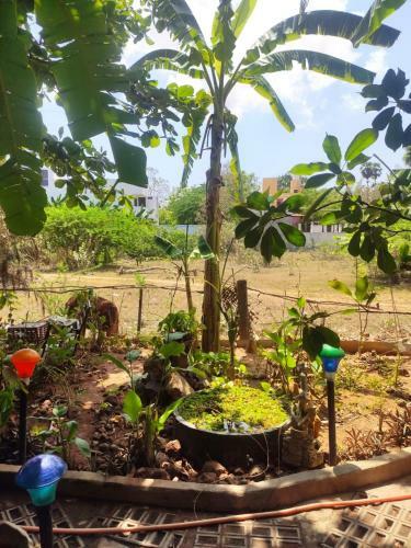 Mother Land Home Stay