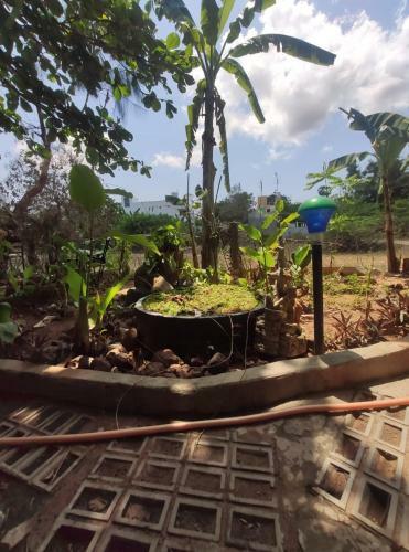 Mother Land Home Stay